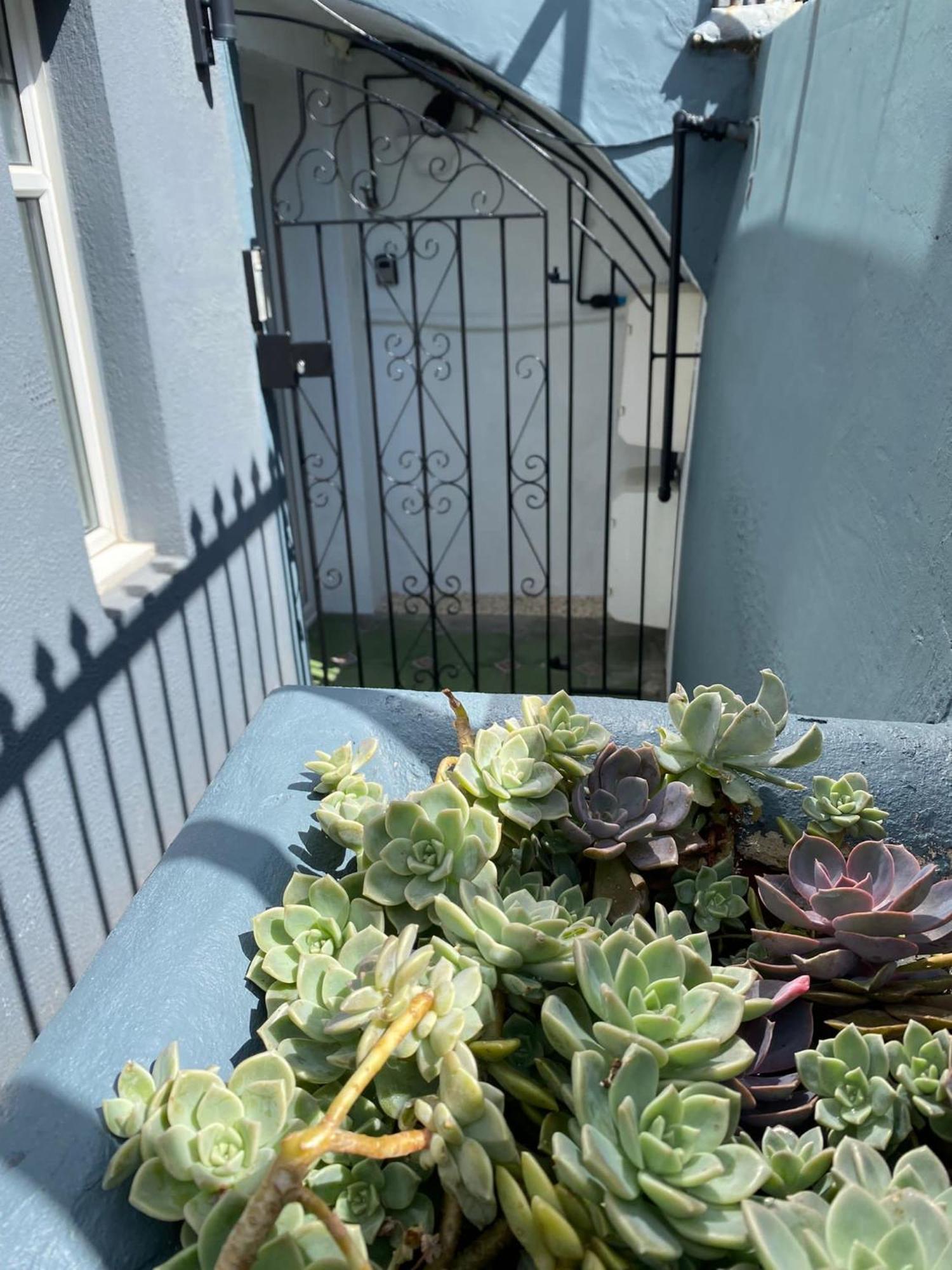 Kemptown Courtyard Apartment Hove Buitenkant foto